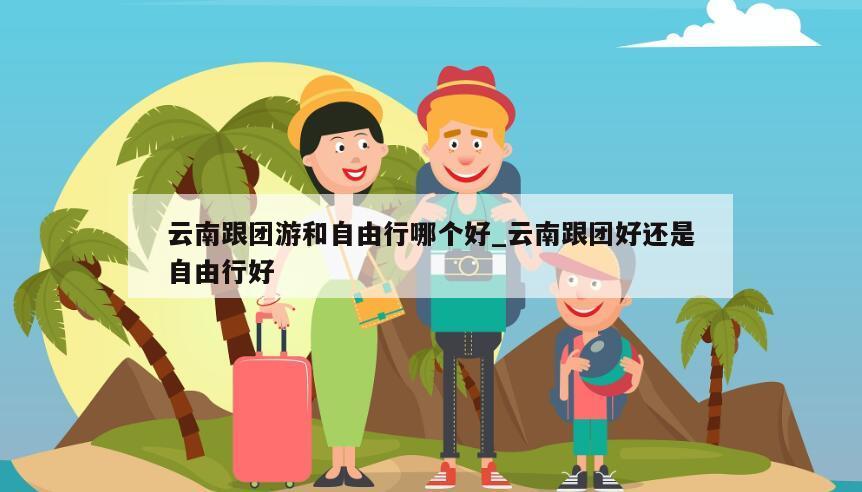 云南跟团游和自由行哪个好_云南跟团好还是自由行好